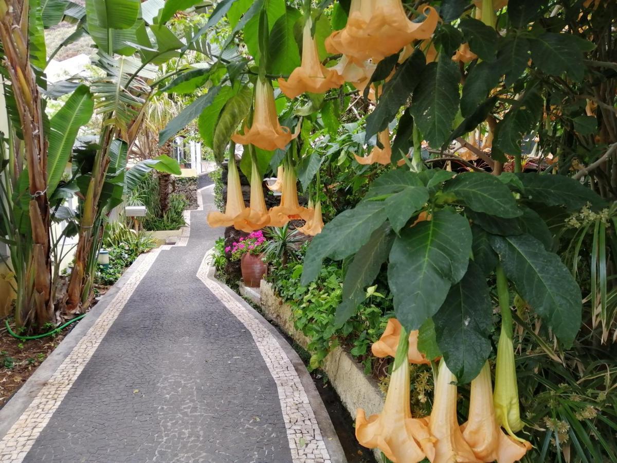 ジャルディン・ド・マール Casa Lgヴィラ エクステリア 写真